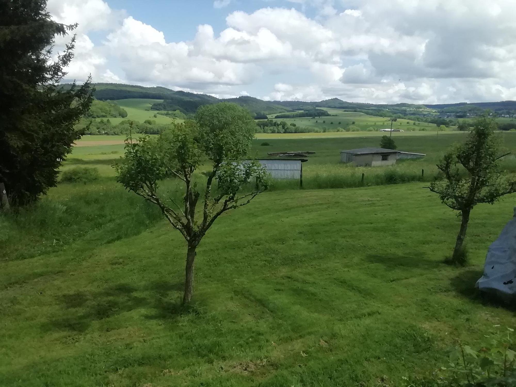 Ferienwohnung Meisenthal Kelberg Exteriör bild